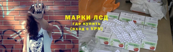 шишки Горняк