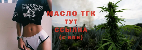 шишки Горняк