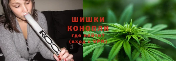 шишки Горняк