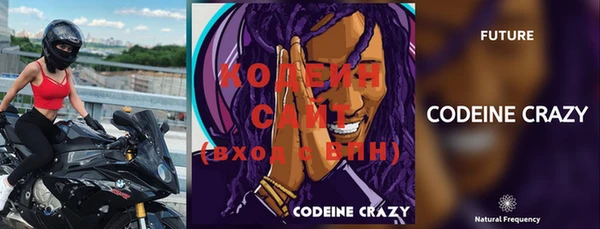 шишки Горняк