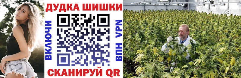 Марихуана сатива Кисловодск